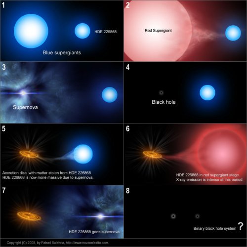 steps of a black hole